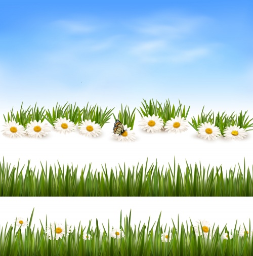 Summer background with flowers and butterflies
