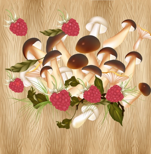        / Background for menu with tomatos and mushroom in vector