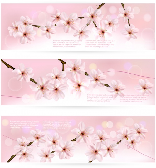 Blossoming Tree Branches Vector