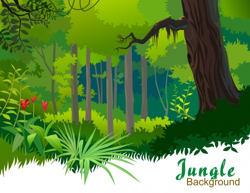 Jungle backgraund /   - ,  ,   ,   