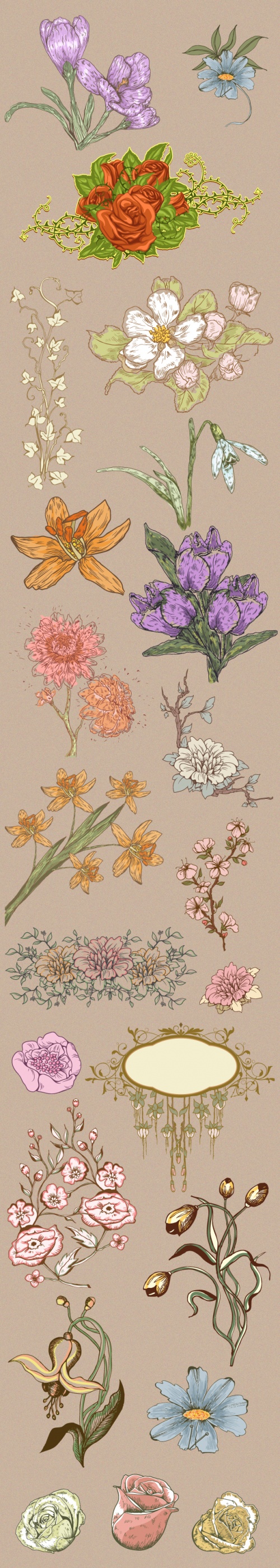 Designtnt - Floral Ornaments Set 3