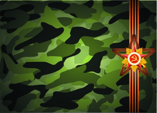 Victory day camouflage back