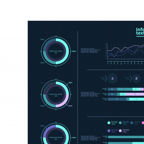     29 | Infographics and chart design elements vector set 29