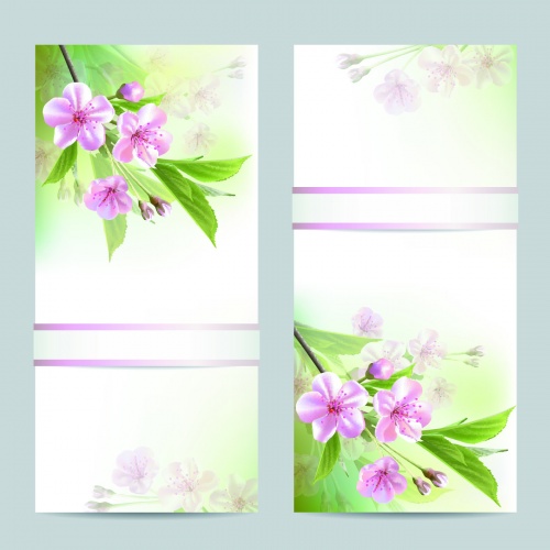 Spring Backgrounds & Banners Vector