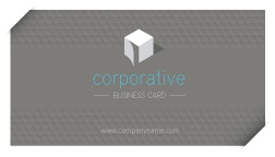 Pixeden - Corporate Business Card Vol 2