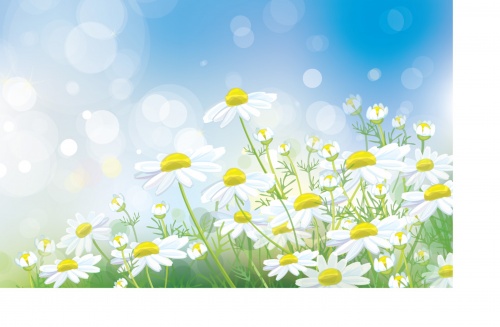 Summer or spring backgrounds and banners