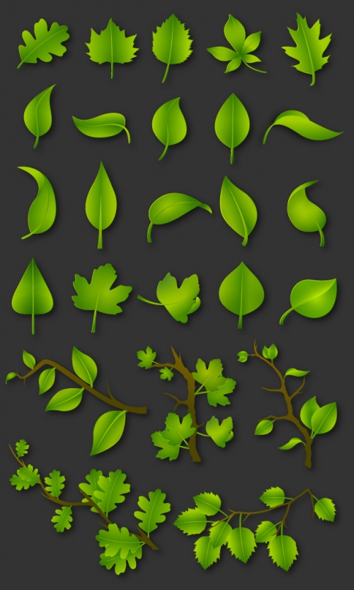 Designtnt - Green Leaves Vector Set 1