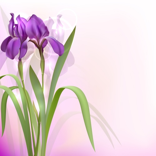     / Set of spring banners with Flowers in vector