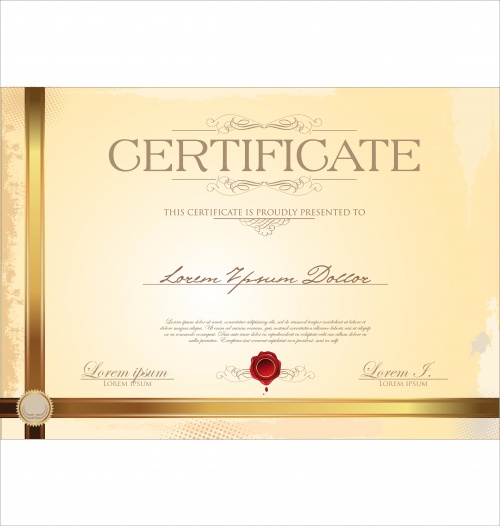 Certificate vector 11