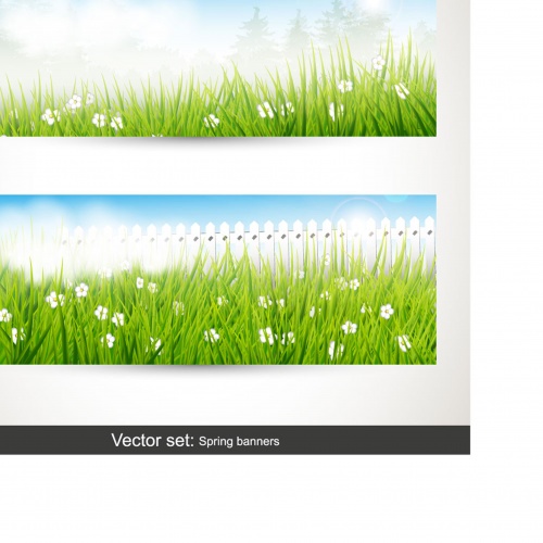 Backgrounds and banners with green grass