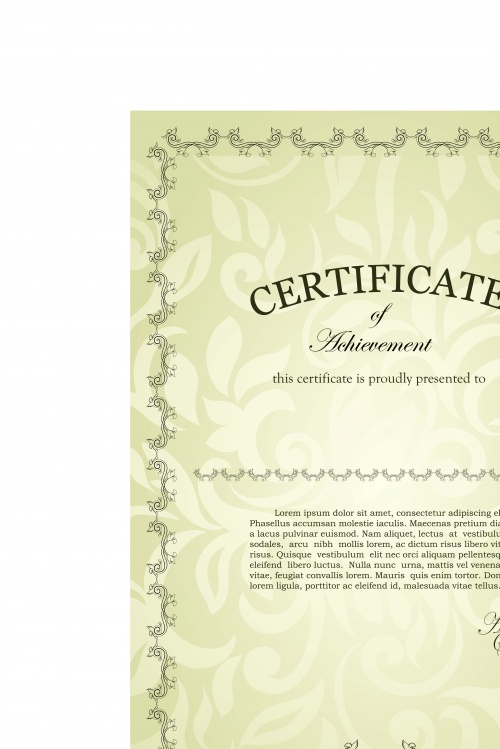    | Certificate vintage style design vector