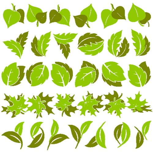 Stock: Leaves in Vector