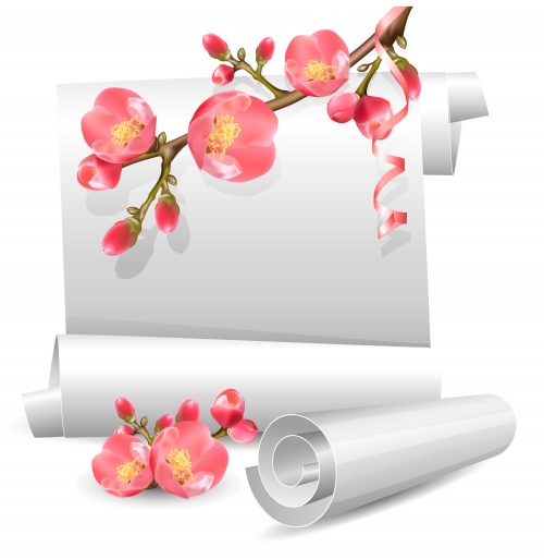       / Vector stock - spring flowers and scroll