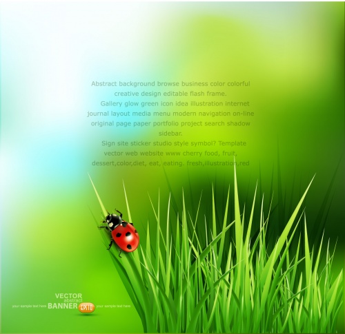 Spring Nature Backgrounds Vector