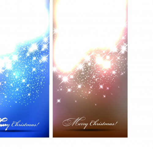      | Winter banner snow flakes vector backgrounds