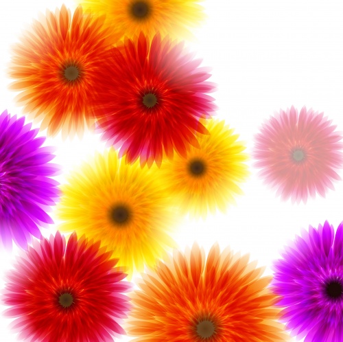    7 | Background with flowers 7