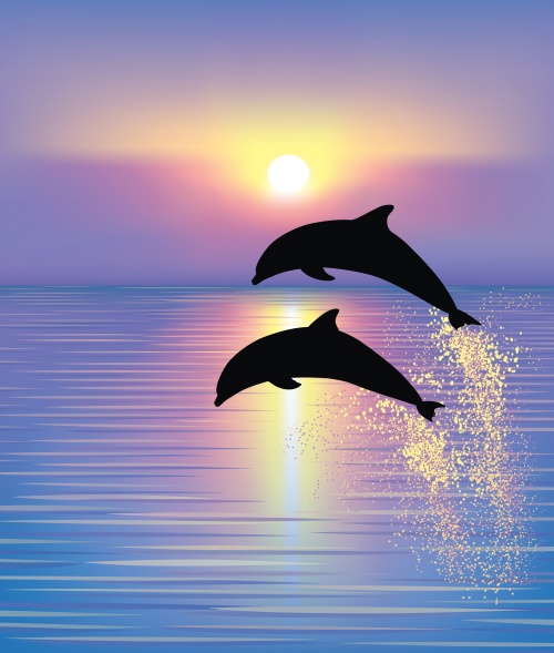 Seascapes and the dolphins - Vector clipart