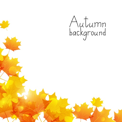 Autumn, autumn leaves - vector