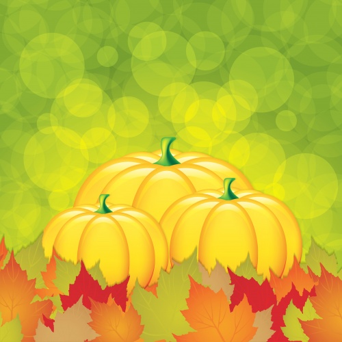       / Autumn background with grapes and pumpkin - vector