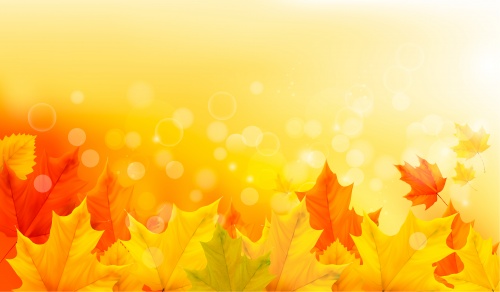 Stock: Autumn background with leaves