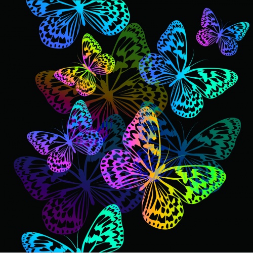 Color Butterflies Backgrounds Vector