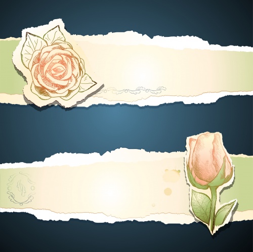     / Vintage background with roses, vector