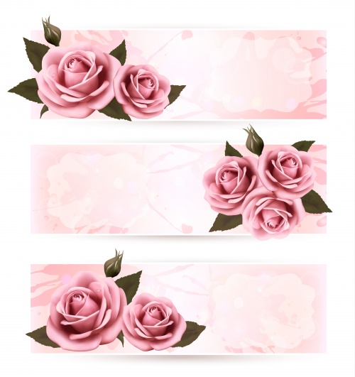      / Banners with rose - vector stock