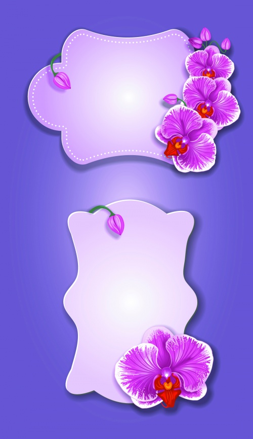 Labels with Flowers Vector