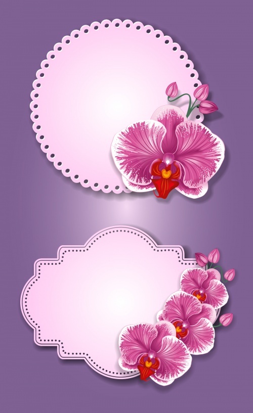 Labels with Flowers Vector