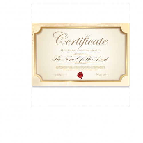 Certificate vector 13