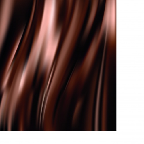 Шоколоад фоны и текстуры | Chocolate vector backgrounds