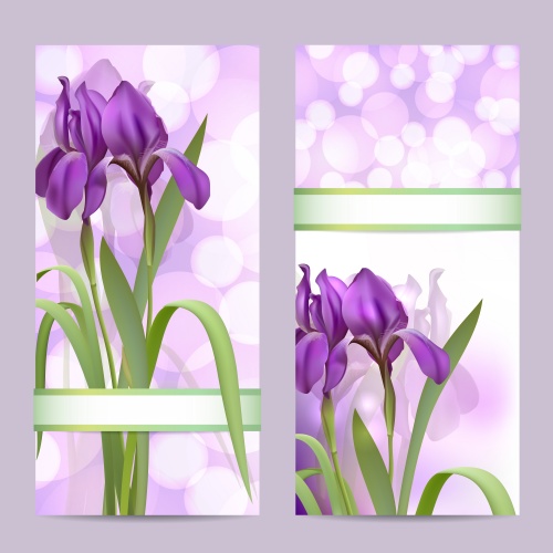     / Set of spring banners with Flowers in vector
