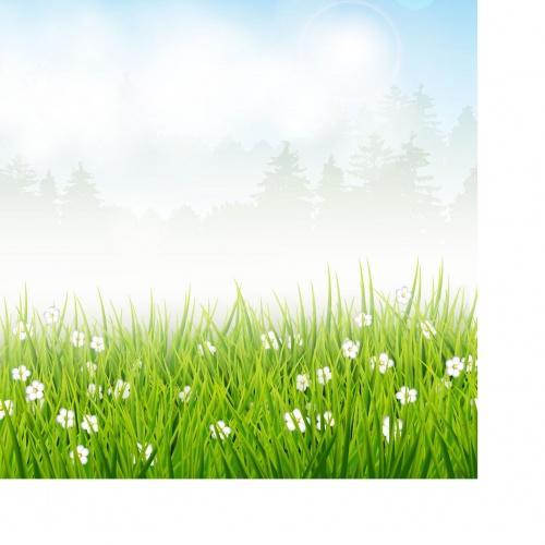Backgrounds and banners with green grass