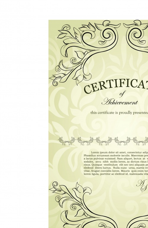    | Certificate vintage style design vector
