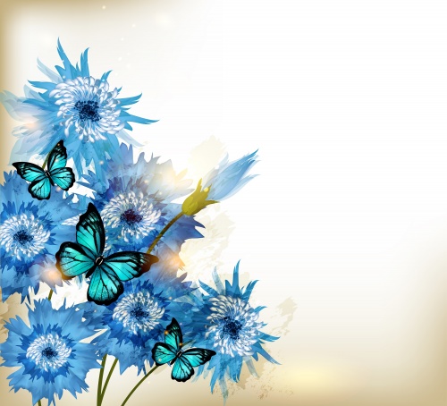    ,      | Gentle backgrounds with camomiles, cornflowers and butterflies in a vector
