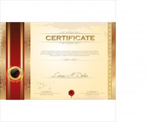 Certificate vector 9
