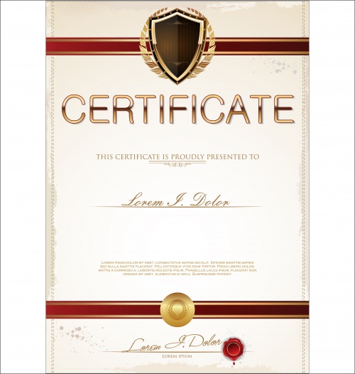 Certificate vector 9