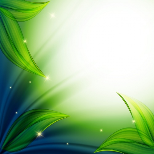 Green Abstract Backgrounds Vector 2