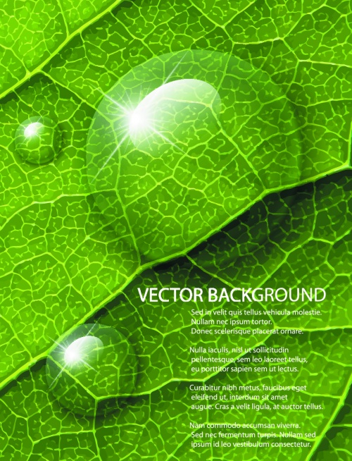 Realistic Natural Backgrounds Vector