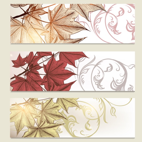 Hand drawn autumn backgrounds with maple leaves
