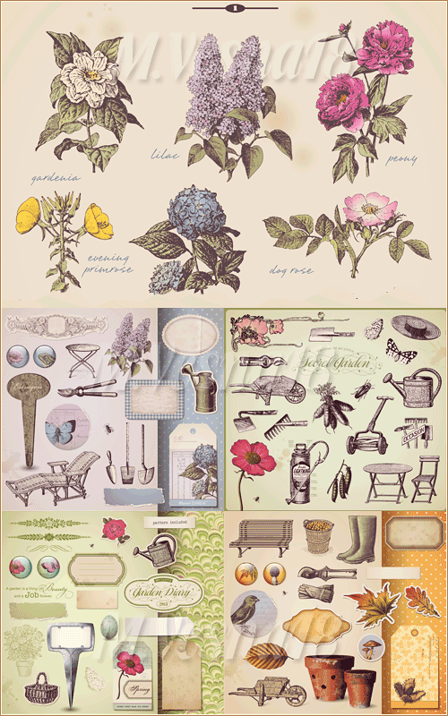 Садовые, винтажные элементы дизайна в векторе / Garden, vintage design elements in the vector