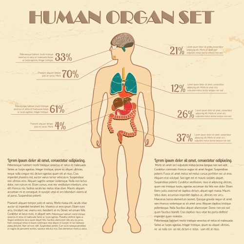   / Medical infographic - vector stock