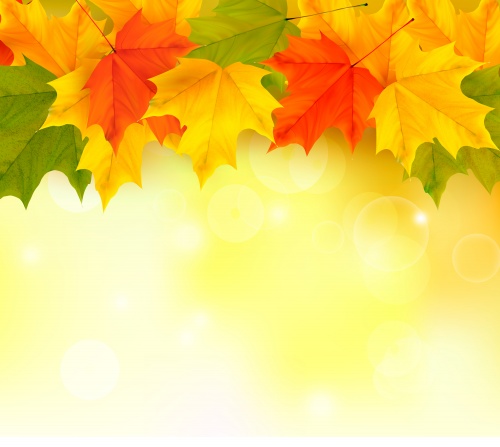 Stock: Autumn background with leaves