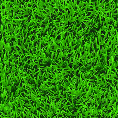 Green Grass & Leaves Vector