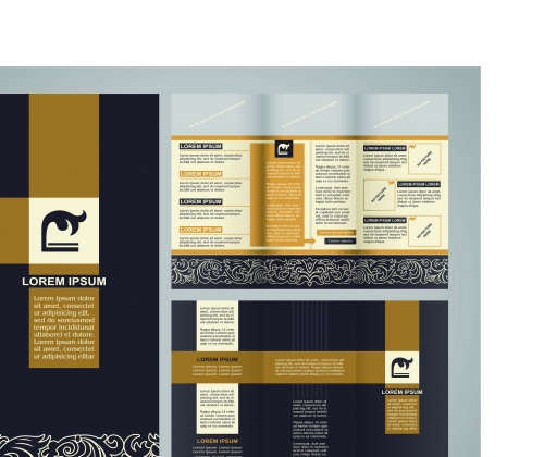       36 | Tri fold business brochure vector set 36